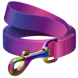 collar-waudog-recycled-smycz-nylonowa-gradient-m-20mm-122cm-fioletowy