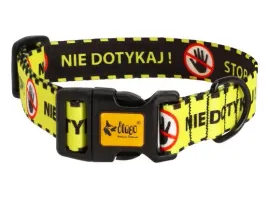 dingo-obroza-regulowana-city-nie-dotykaj-30cm-60cm