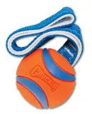 chuckit-ultra-tug-small-231101