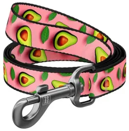 collar-waudog-nylon-smycz-nylonowa-m-20mm-200cm-wzor-awokado-na-rozu
