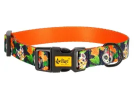 dingo-obroza-regulowana-city-chiapas-20cm-45cm