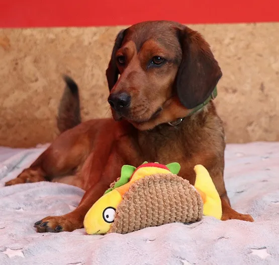 dingo-zabawka-dla-psa-taco-20cm