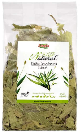 alegia-babka-lancetowata-100g-stan-nowy
