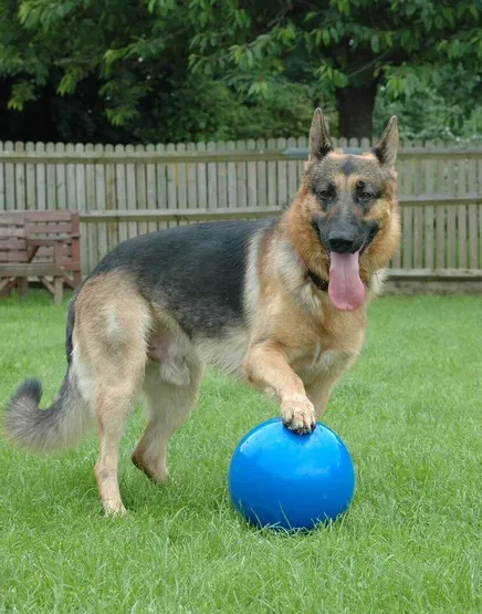 boomer-ball-m-6-15cm-niebieska