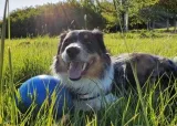boomer-ball-m-6-15cm-niebieska