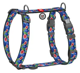 collar-waudog-nylon-szelki-nylonowe-anatomiczne-w-ksztalcie-litery-h-z-qr-
