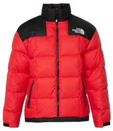kurtka-zimowa-meska-the-north-face-pikowana-puch-naturalny-bez-kaptura-r-m