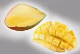 krajacz-do-mango-bialy-moha-kod-producenta-mo-25302