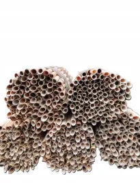 rurki-trzcinowe-dla-murarek-500-szt-slomki-murarka-murarki