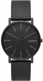 zegarek-meski-skagen-signatur-skw6902-box