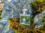 versace-versense-edt-100ml-oryginal-stan-nowy