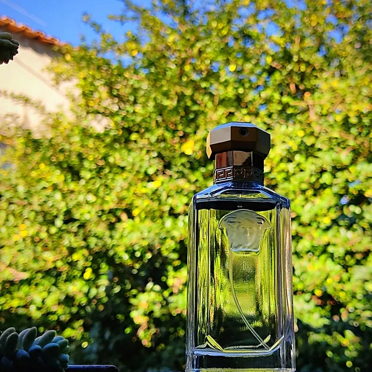 versace-the-dreamer-edt-100ml-flakon
