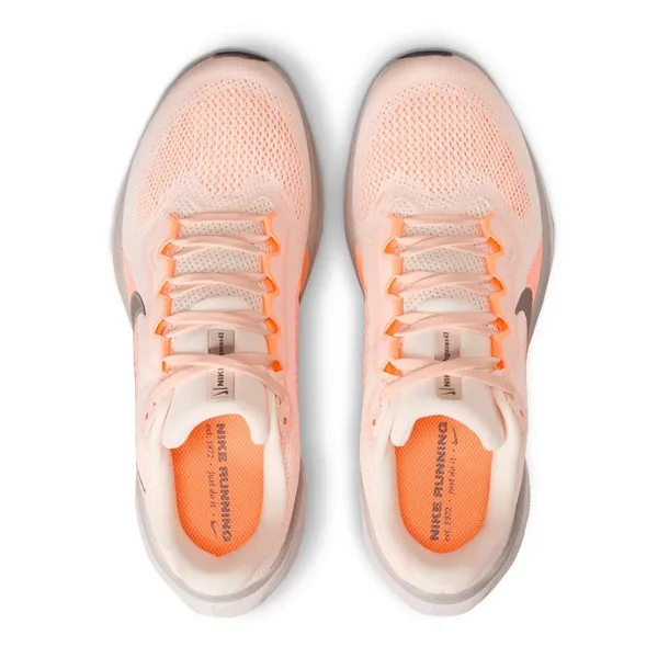 air-zoom-pegasus-kod-producenta-fd2723802