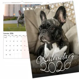 kalendarz-scienny-2026-wieloplanszowy-duzy-notes-bulldog-francuskia-pies-a3