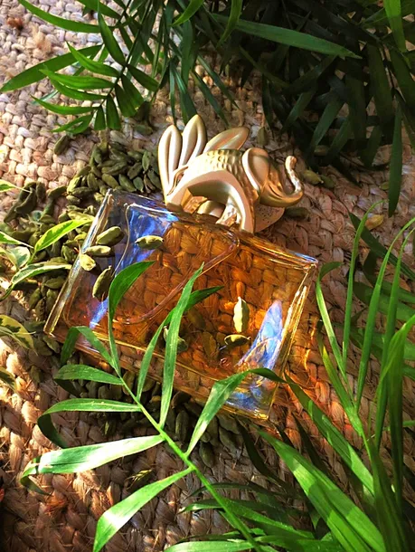 kenzo-jungle-elephant-edp-100ml-oryginal-stan-nowy
