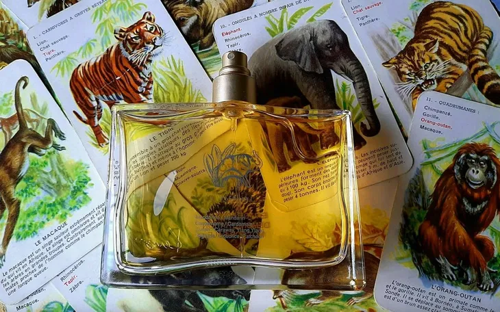 kenzo-jungle-elephant-edp-100ml-oryginal-stan-nowy