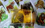 kenzo-jungle-elephant-edp-100ml-oryginal-stan-nowy