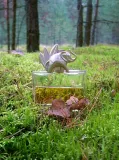 kenzo-jungle-elephant-edp-100ml-oryginal-stan-nowy