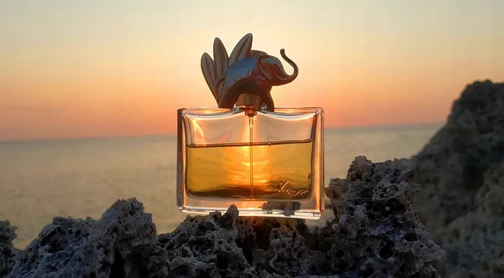 kenzo-jungle-elephant-edp-100ml-oryginal-stan-nowy