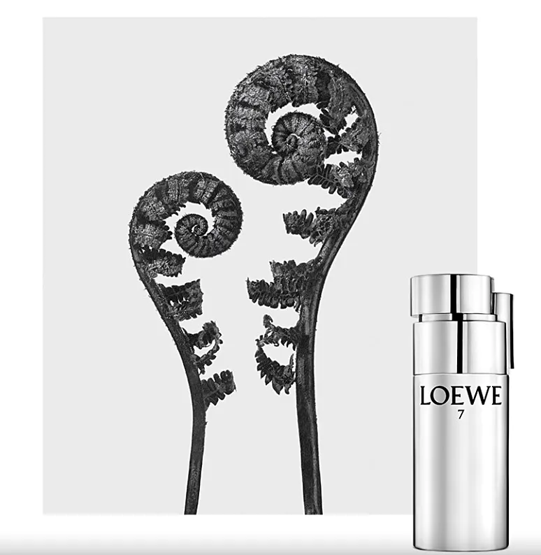 loewe-7-plata-edt-100ml-oryginal