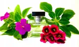 ralph-lauren-romance-edp-100ml-oryginal-stan-nowy