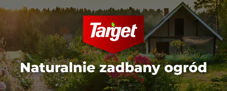 target baner główny_Target