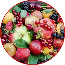 koło naturalne_Target