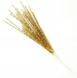 galazka-sztuczna-70cm-ozdoba-dekoracja-swiateczna-stroik-zloty
