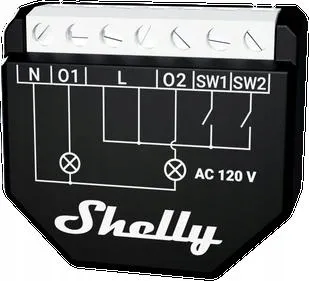 shelly-qubino-wave-2pm