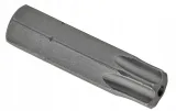 bit-25mm-torx