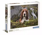 puzzle-1000-elementow-high-quality-collection-beagle