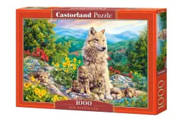 puzzle-1000-elementow-nowe-pokolenie