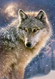 puzzle-500-elementow-samotny-wilk-stan-nowy