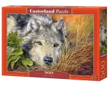 puzzle-500-elementow-czysta-dusza