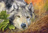 puzzle-500-elementow-czysta-dusza-stan-nowy