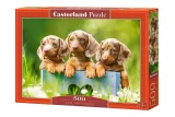 puzzle-500-elementow-cute-dachshunds