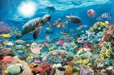puzzle-5000-elementow-glebia-oceanu-kod-producenta-4005556174263