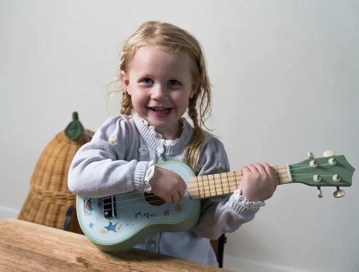 gitara-akustyczna-dla-dzieci-dantoy-rodzaj-gitara
