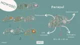 parasol-przeciwdeszczowy-mis-sassi-stan-opakowania-oryginalne