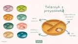 talerzyk-silikonowy-z-przyssawka-lew-sassi-kod-producenta-tos5778