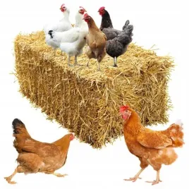 sloma-na-kompost-do-budy-legowisko-dla-psa-sciolka-dla-gryzoni-80l