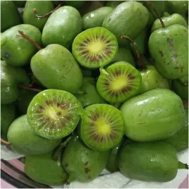 actinidia-issai-mini-kiwi-samopylna-doniczka-wit-c-sadzonka-doniczka