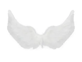 skrzydla-aniola-biale-65-x-40-cm-1-szt