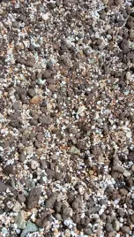 botanic-soil-succulent-10l-podloze-do-sukulentowbigos-ziemia
