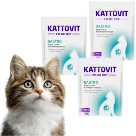 zestaw-kattovit-gastro-sucha-karma-uklad-pokarmowy-3-x-1250g