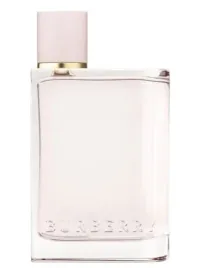 burberry-her-edp-100-mnl-tester