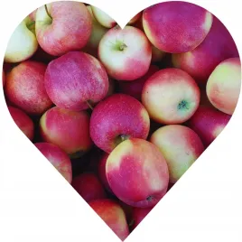 jablon-lobo-jablon-jak-legenda-kazdy-o-niej-slyszal-ale-nieliczni