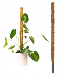 podpora-palik-kokosowy-100cm-1m-tyczka-do-monstery-kwiatow-roslin
