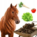 prawdziwy-obornik-konski-niegranulowany-najlepszy-jesienny-nawoz-worek-stan-nowy