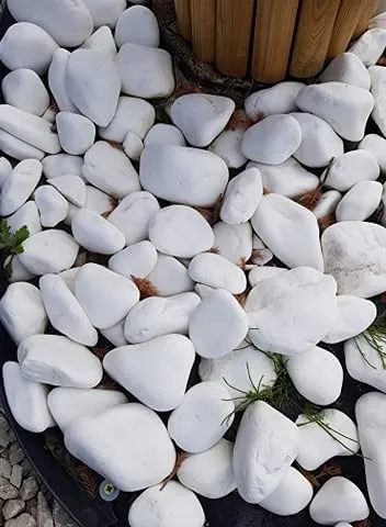 otoczak-bialy-kamien-thassos-biale-otoczaki-do-ogrodu-i-doniczek-10-kg-waga-1-kg